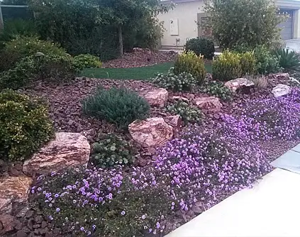 Commercial Landscape Maintenance, North Las Vegas, NV